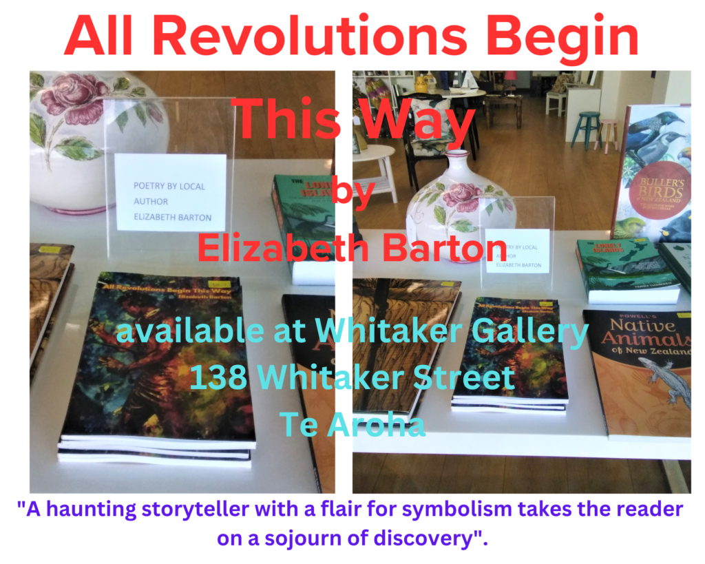 Copies of All Revolutions Begin This Way were available at the Whitaker Gallery during the exhibition Waiting for the Golden Age. Every one of them sold.