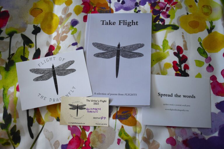 Flight-of-the-Dragonfly-Resized