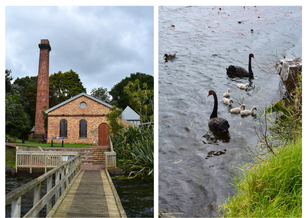 The Pumphouse Theatre on the shores of Lake Pupuke.