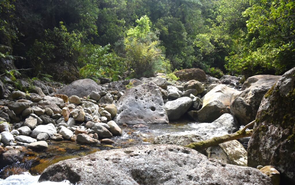 A river scene on the way to the New Era Battery, which provided the inspiration for the poem The reckoning