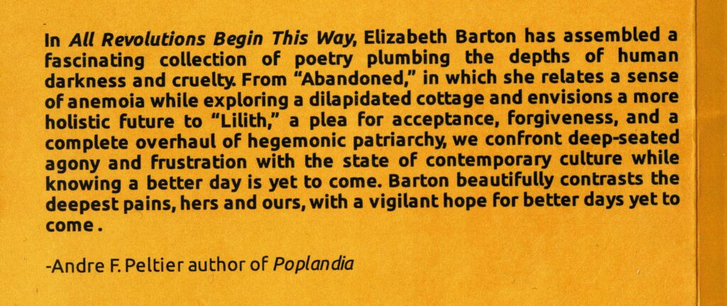 Preview of the poem Abandoned featured on the back cover of All Revolutions begin This Way